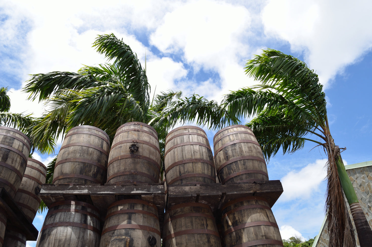 Rum